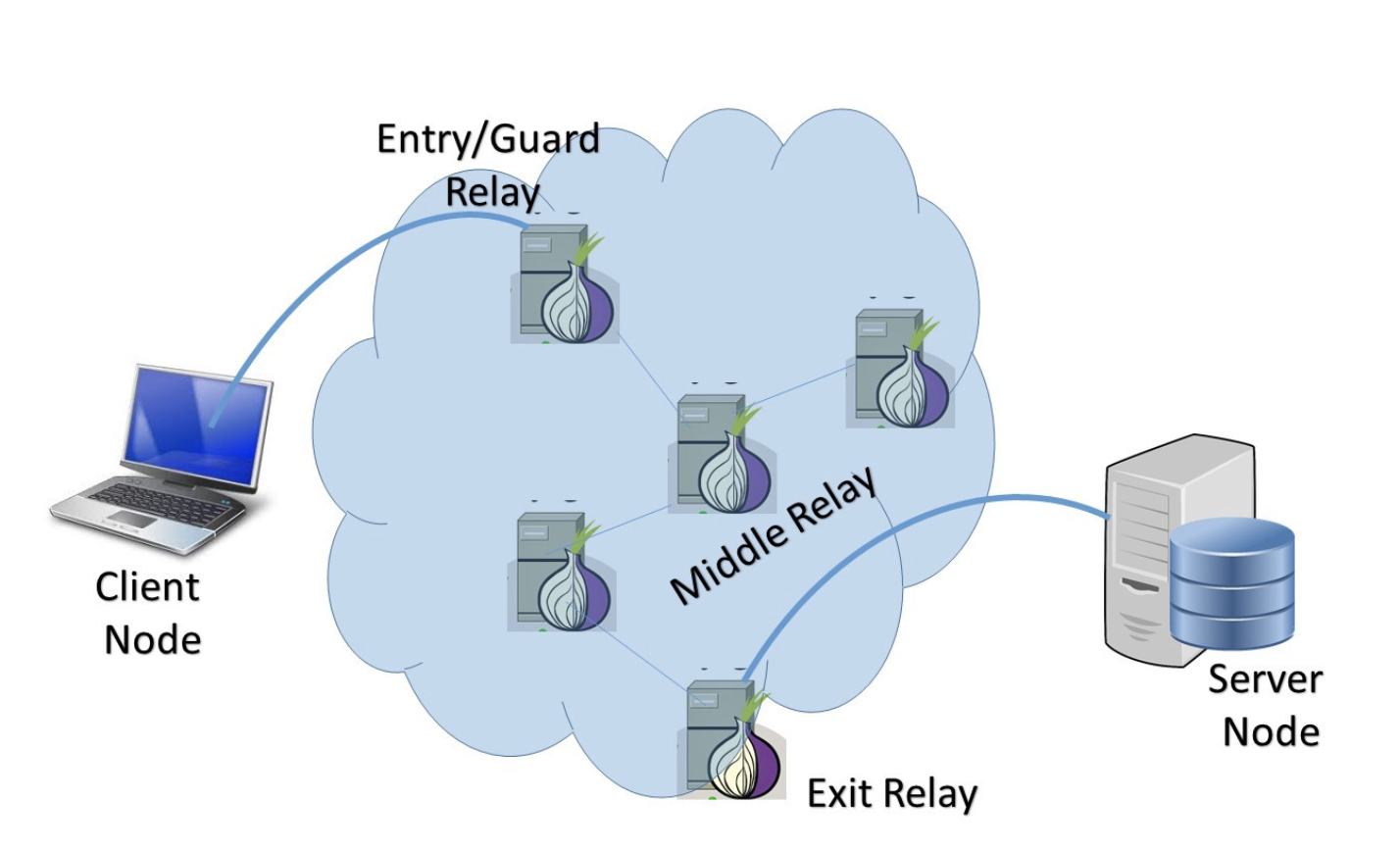 Different types of Tor relay